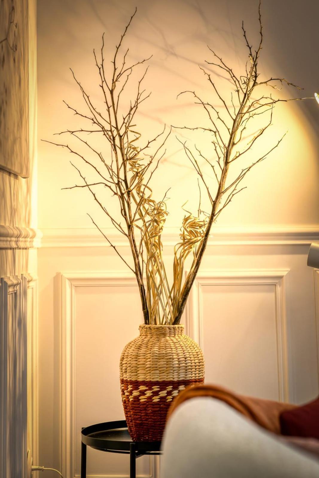Апартаменты Rose Ecrin De Charme Avec Parking Terrasse Privee Et Jardin Partage Grand-Couronne Экстерьер фото